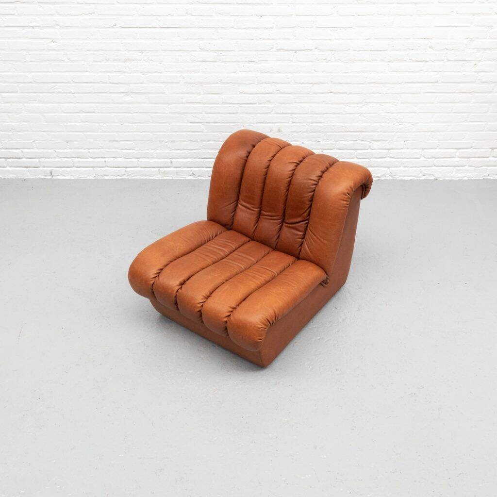 Fauteuil De Sede DS-85