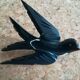 Three old wooden wall swallows