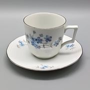 White porcelain coffee service Bareuther Waldassen Bavaria Germany