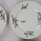 6 flat plates decorated with barbs