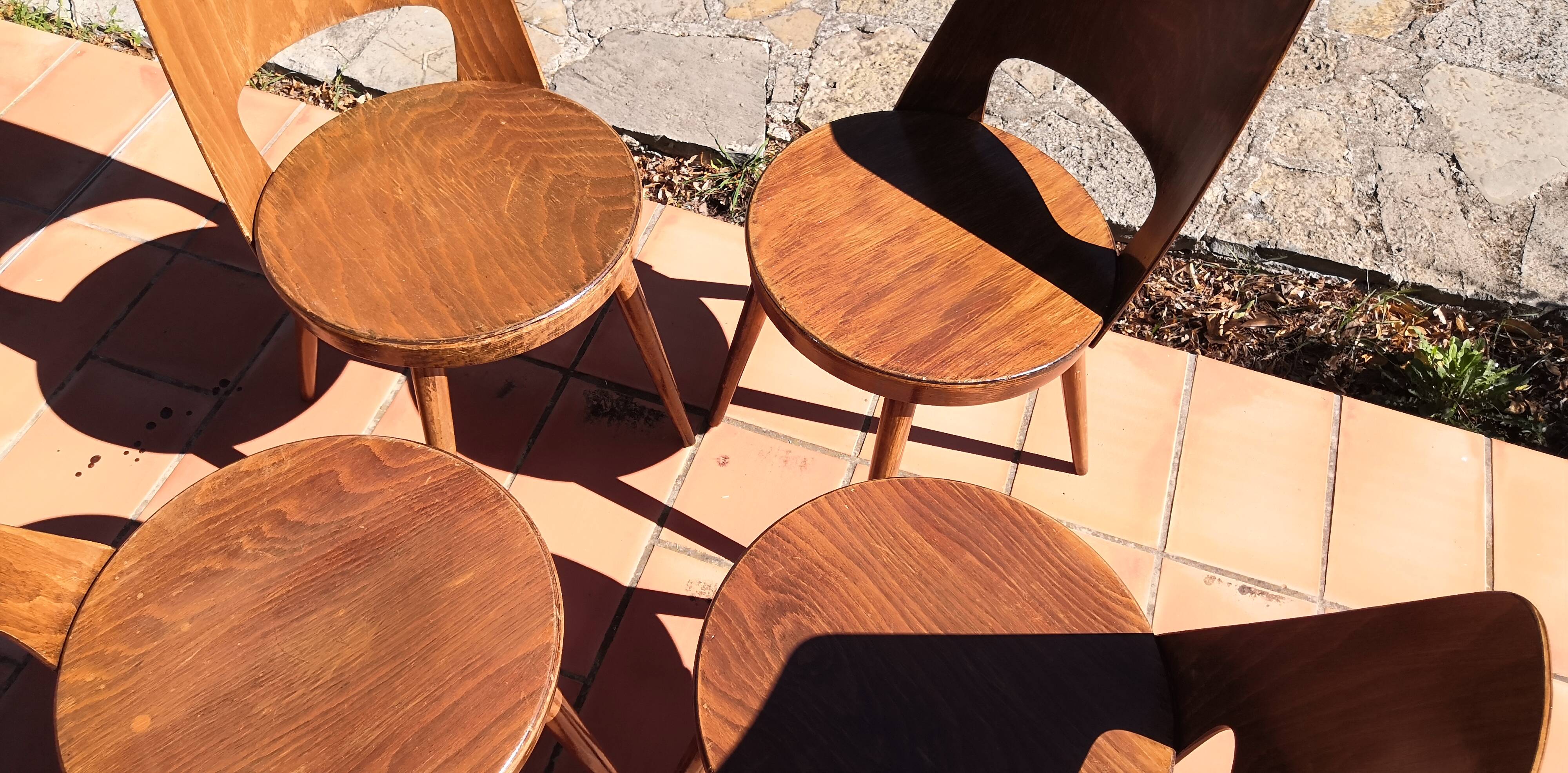 Vintage baumann mondor chairs 60