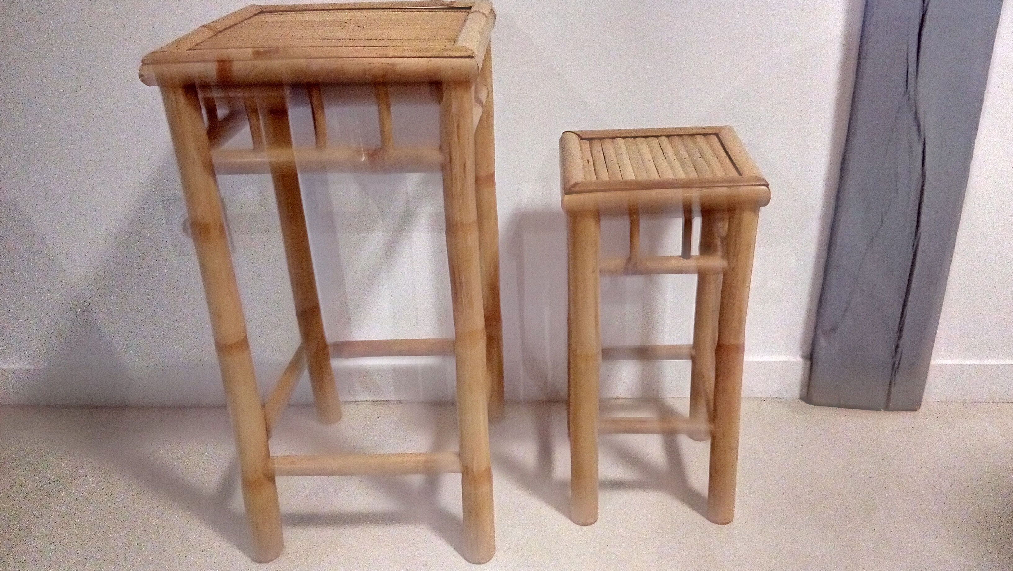 Bamboo selette plant-carrier duo