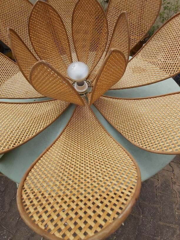 Lotus flower suspension in vintage cannage