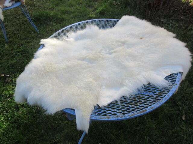 Sheepskin