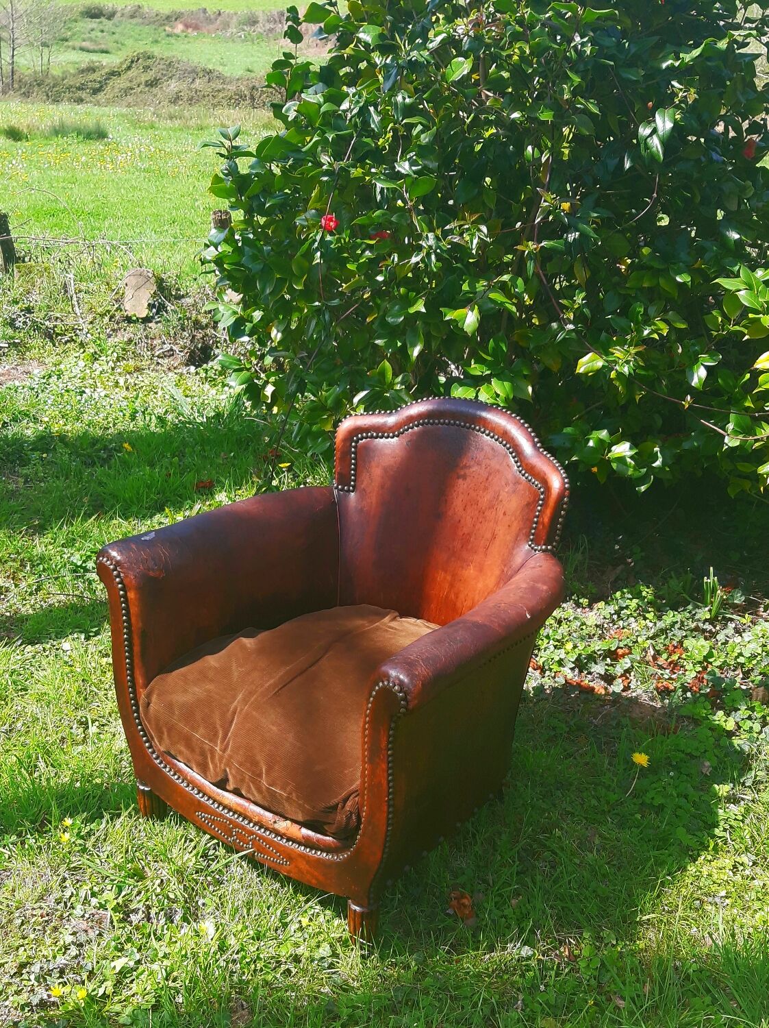 Club Armchair
