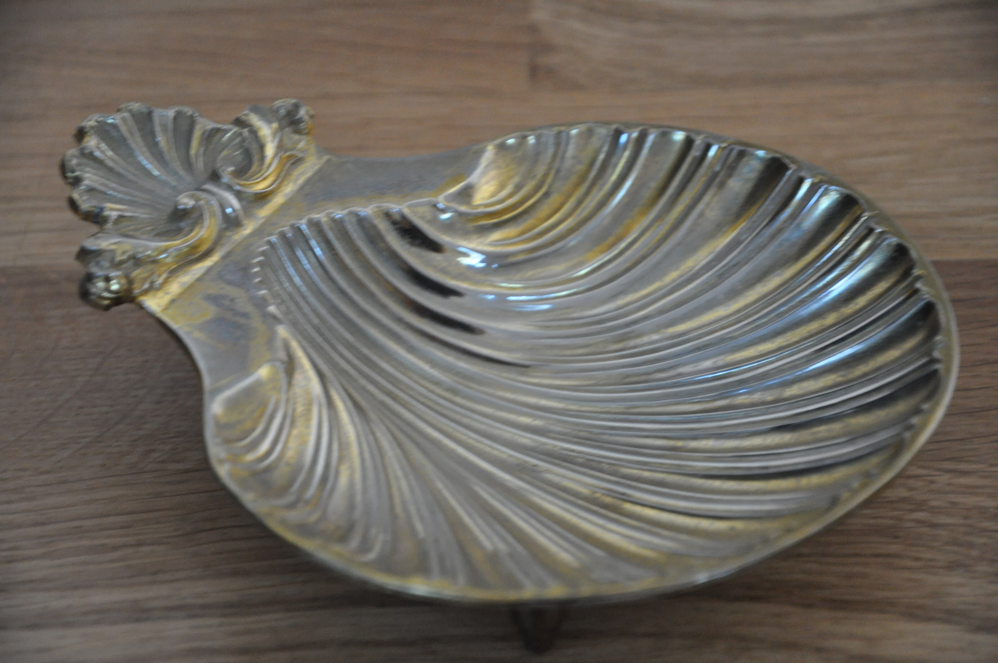 Empty-pocket scallop shell