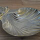 Empty-pocket scallop shell