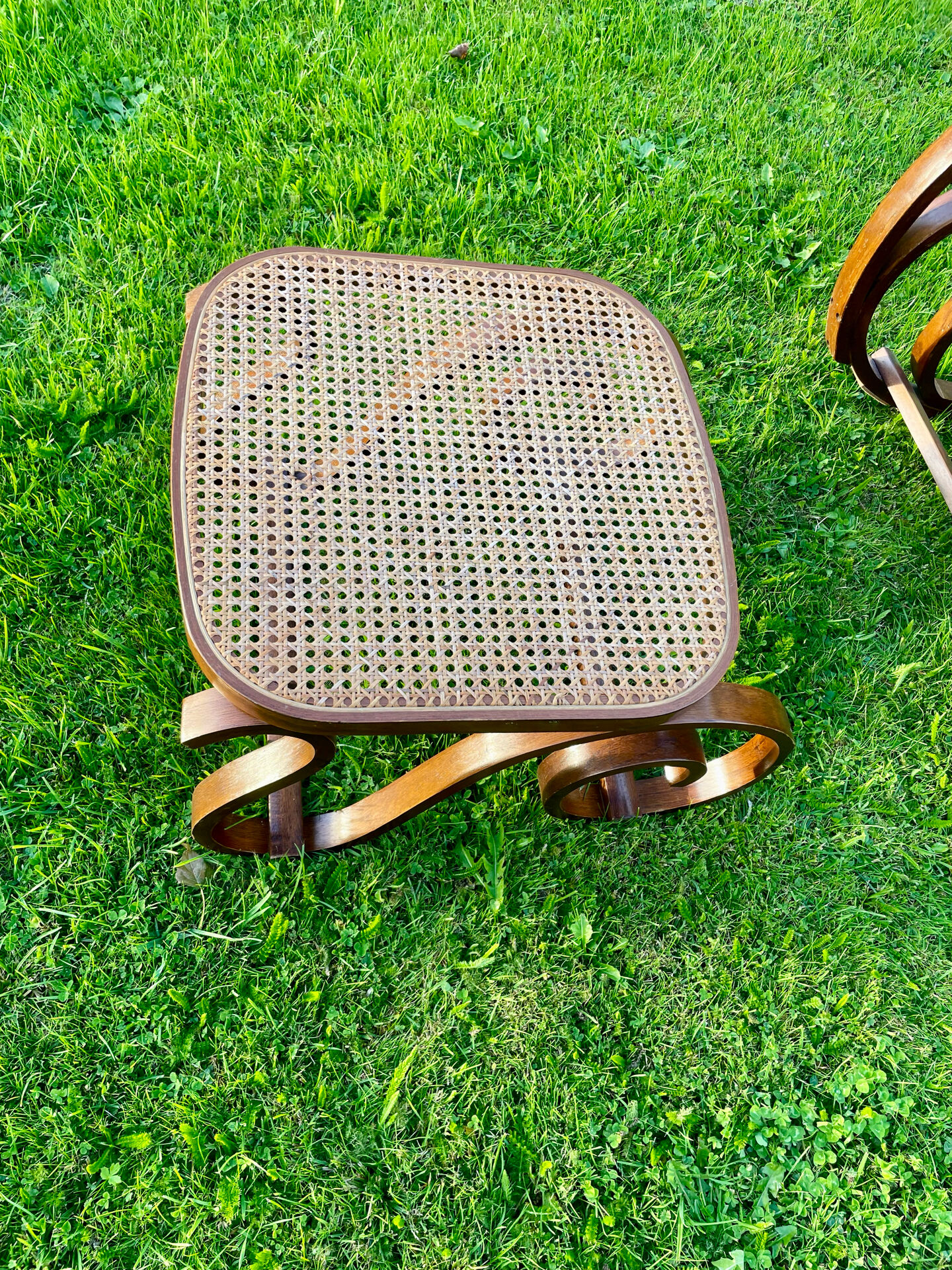 Rocking-chair en bois courbé et cannage