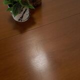 Ronde uitschuifbare eettafel Thonet