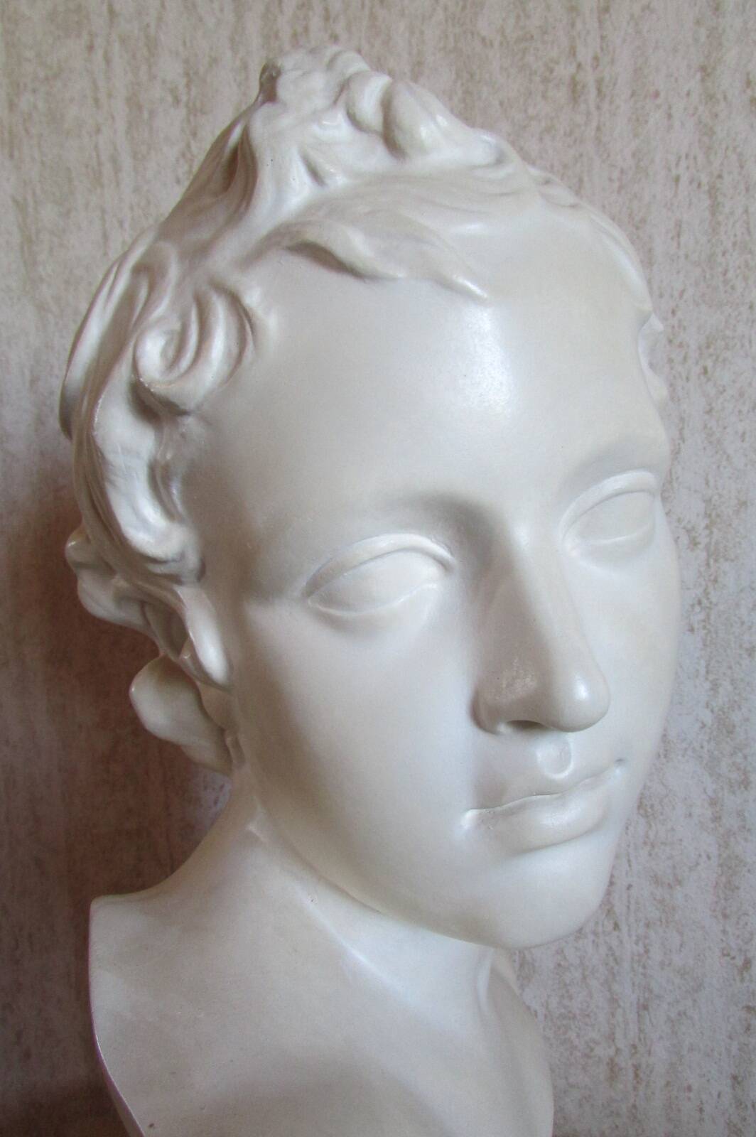 Head of a young man, plaster bust
