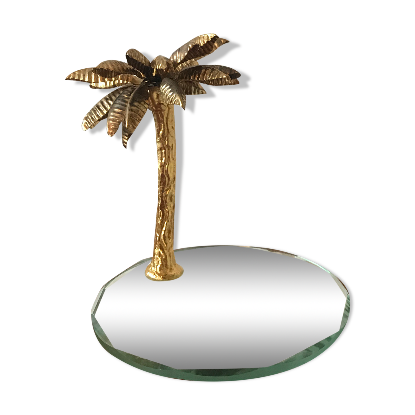 Mirror plateau and palm tree