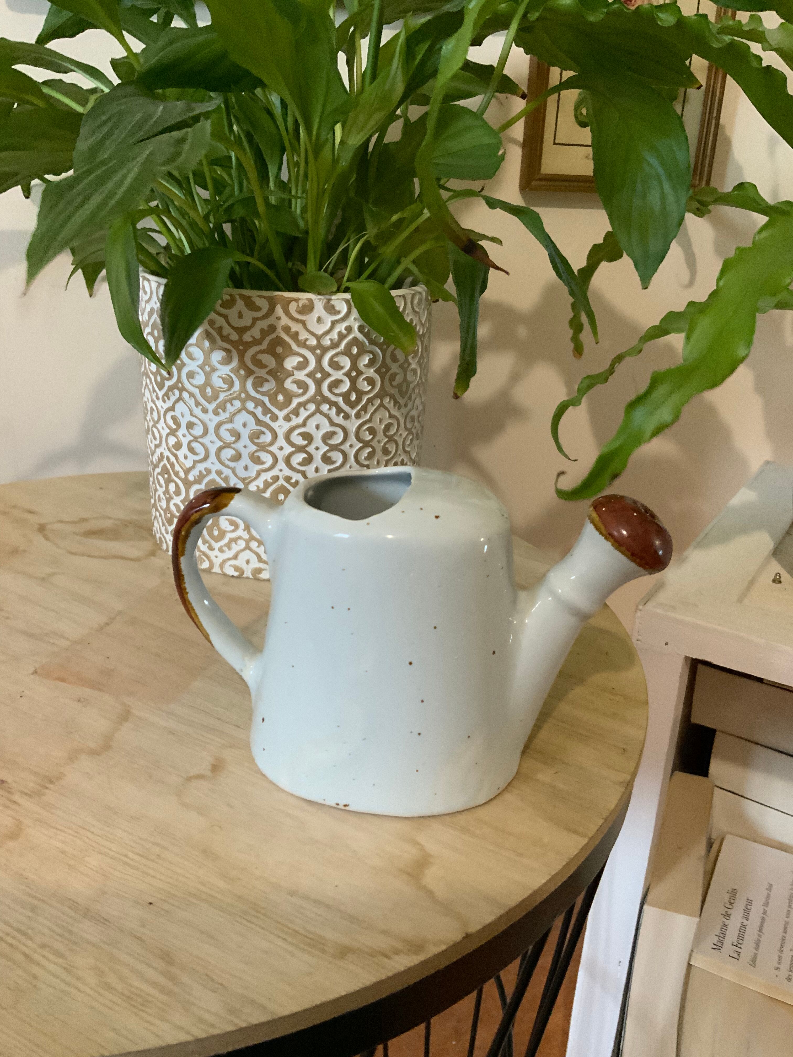 Vintage watering can