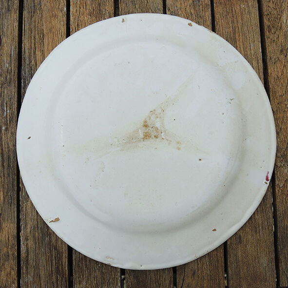 Old earthenware plate: blueberry décor