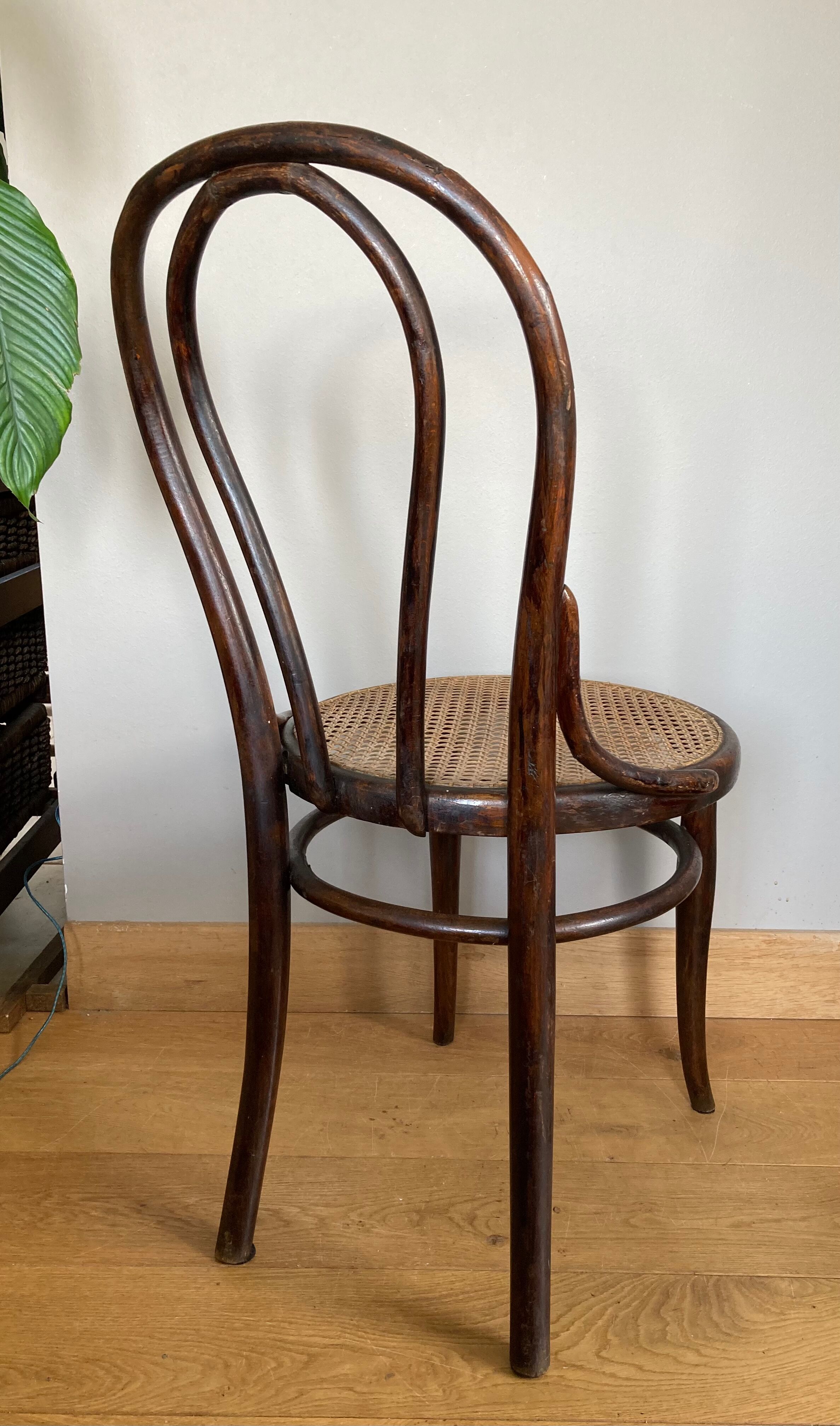 Real Tuna Chair in curved wood, label + hot iron stamp