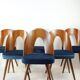 Ensemble de 6 chaises iconiques Tatra en noyer et velours par šuman, Nabytok Pravenec