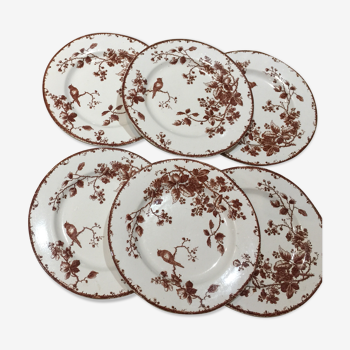 Gien earthenware plates