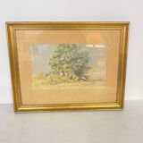Aquarelle du 19ème Siècle dans un Cadre Doré