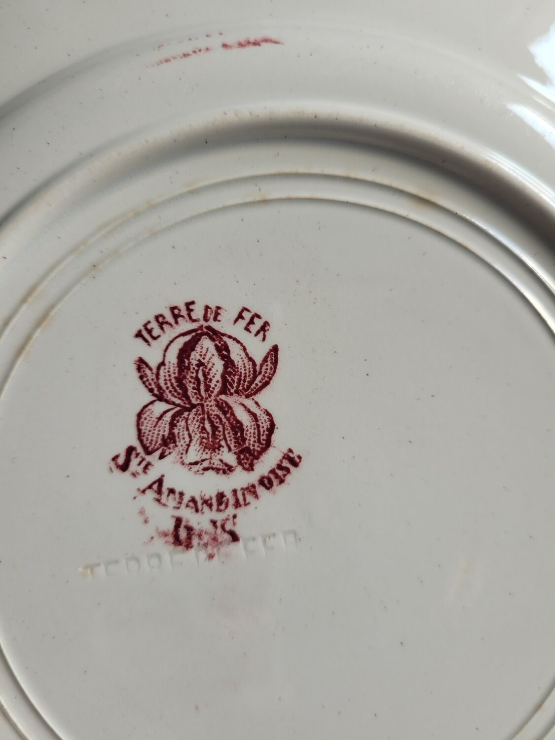 Lot de 5 assiettes plates Terre de fer Ste Amandinoise Iris