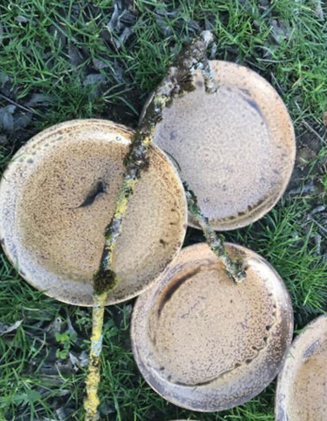 Lot of sandstone dishes