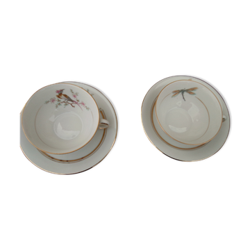 2 old porcelain cups Bavaria c f G bird and butterfly pattern