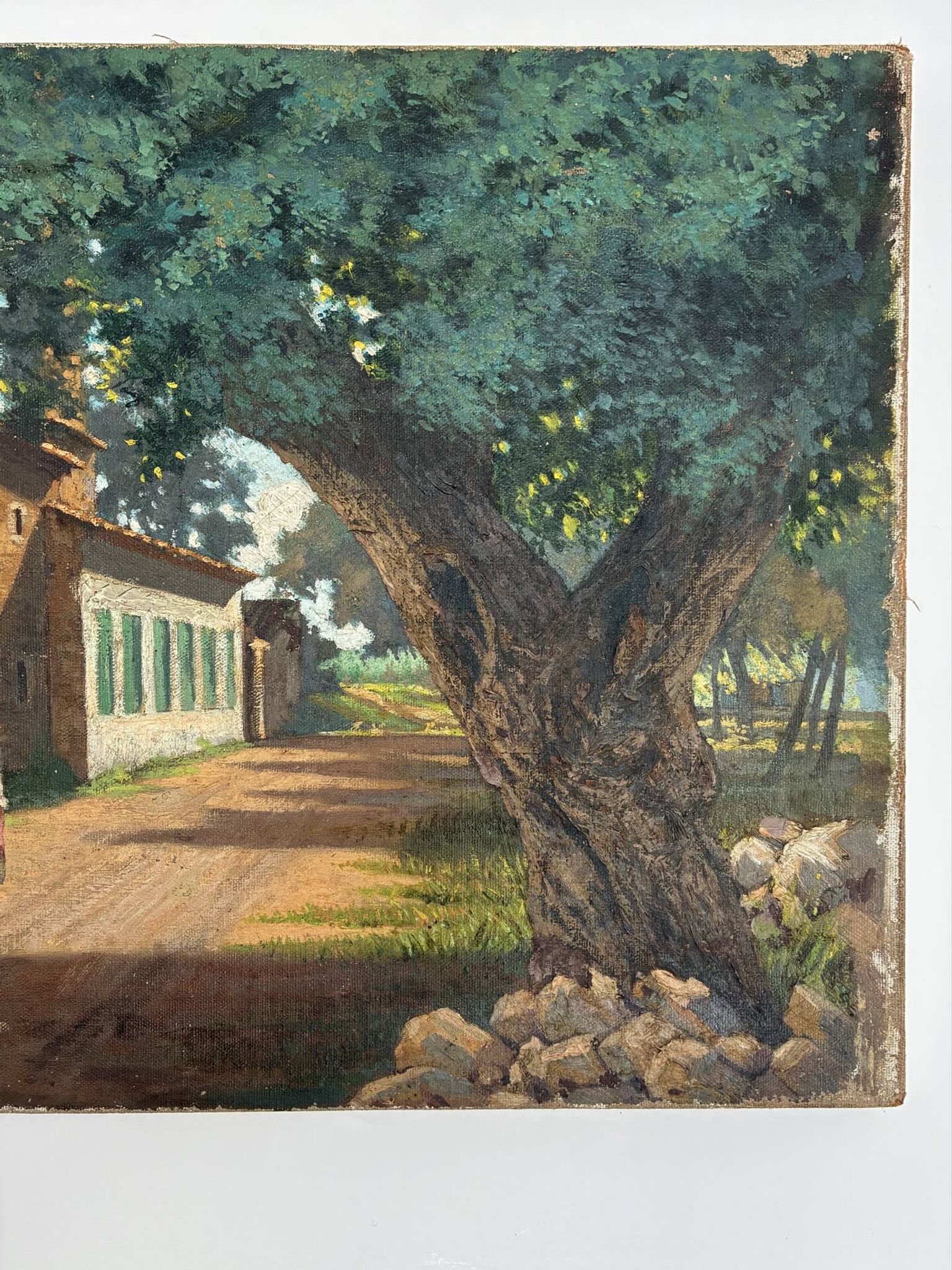 Animated landscape 1909