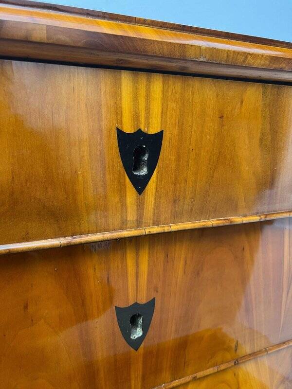 Biedermeier Ebonized Chest of Drawers in Cherry Veneer, South Germany, 1830