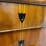 Biedermeier Ebonized Chest of Drawers in Cherry Veneer, South Germany, 1830