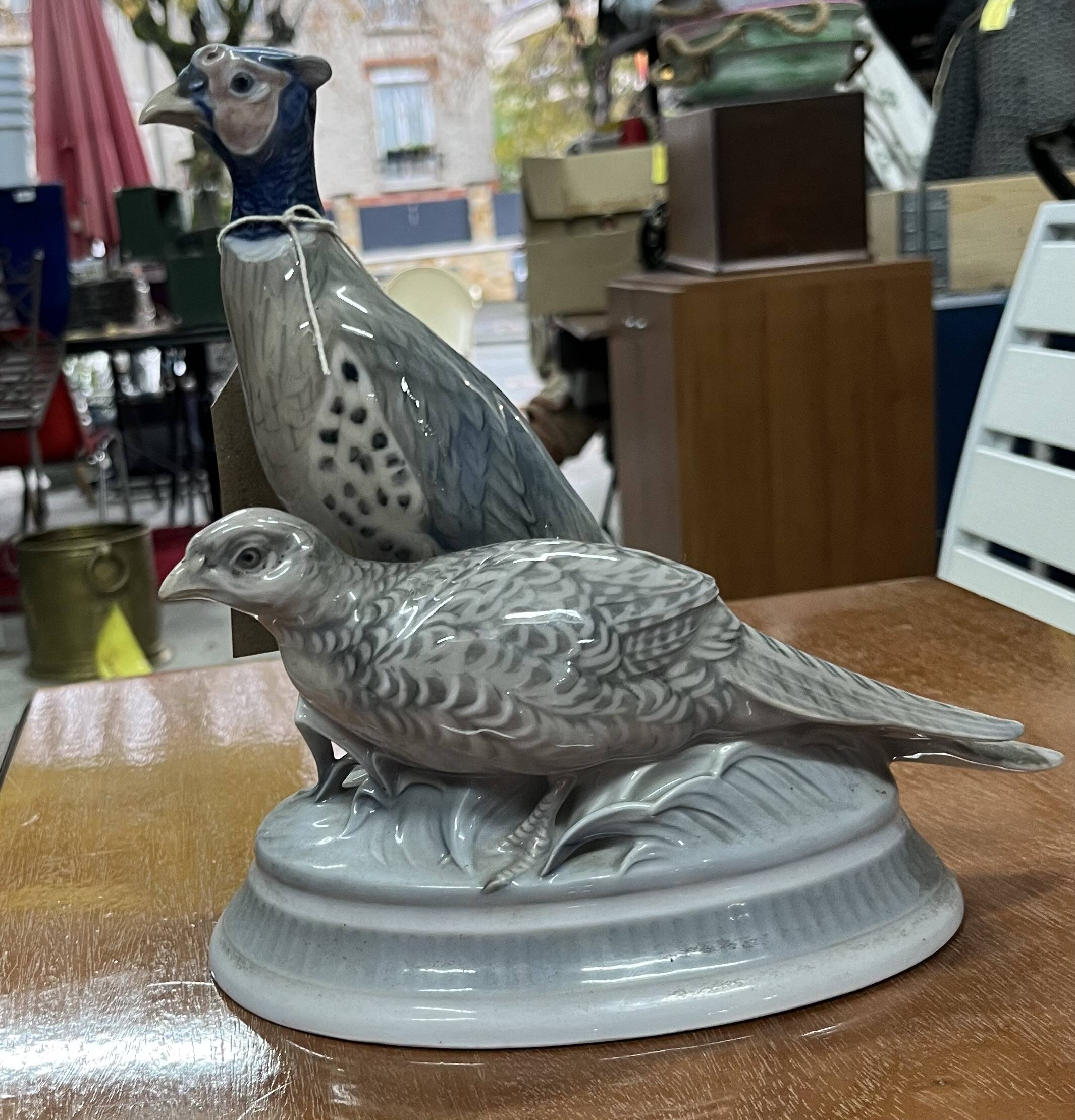 oiseaux royal Copenhague