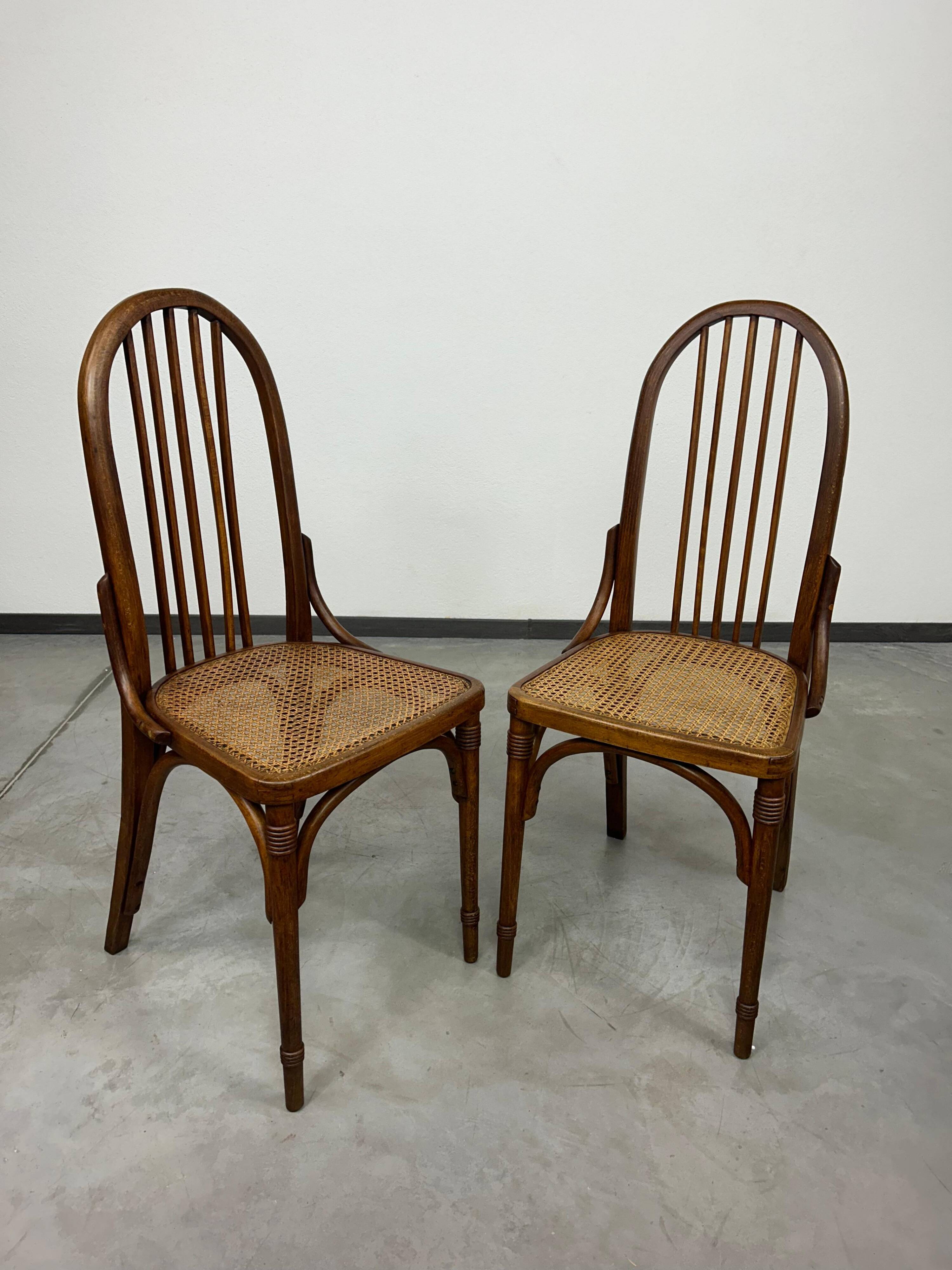Dining chairs Secession N369A by Josef Hoffmann