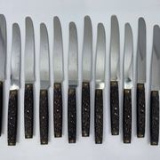 12 dinner knives