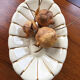 White and gold ceramic plate