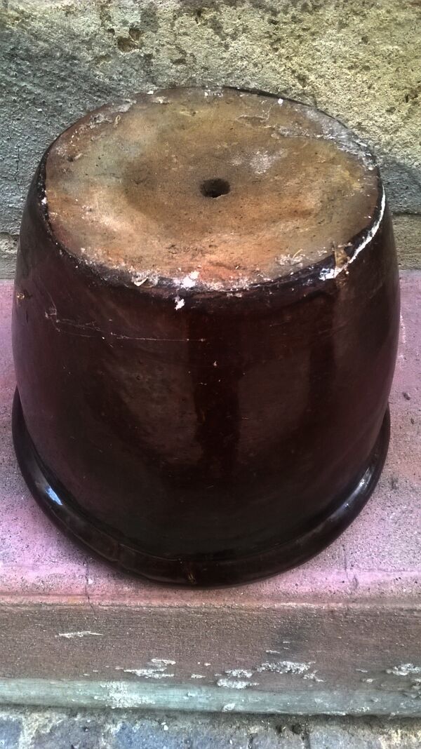 Pot de fleur vintage