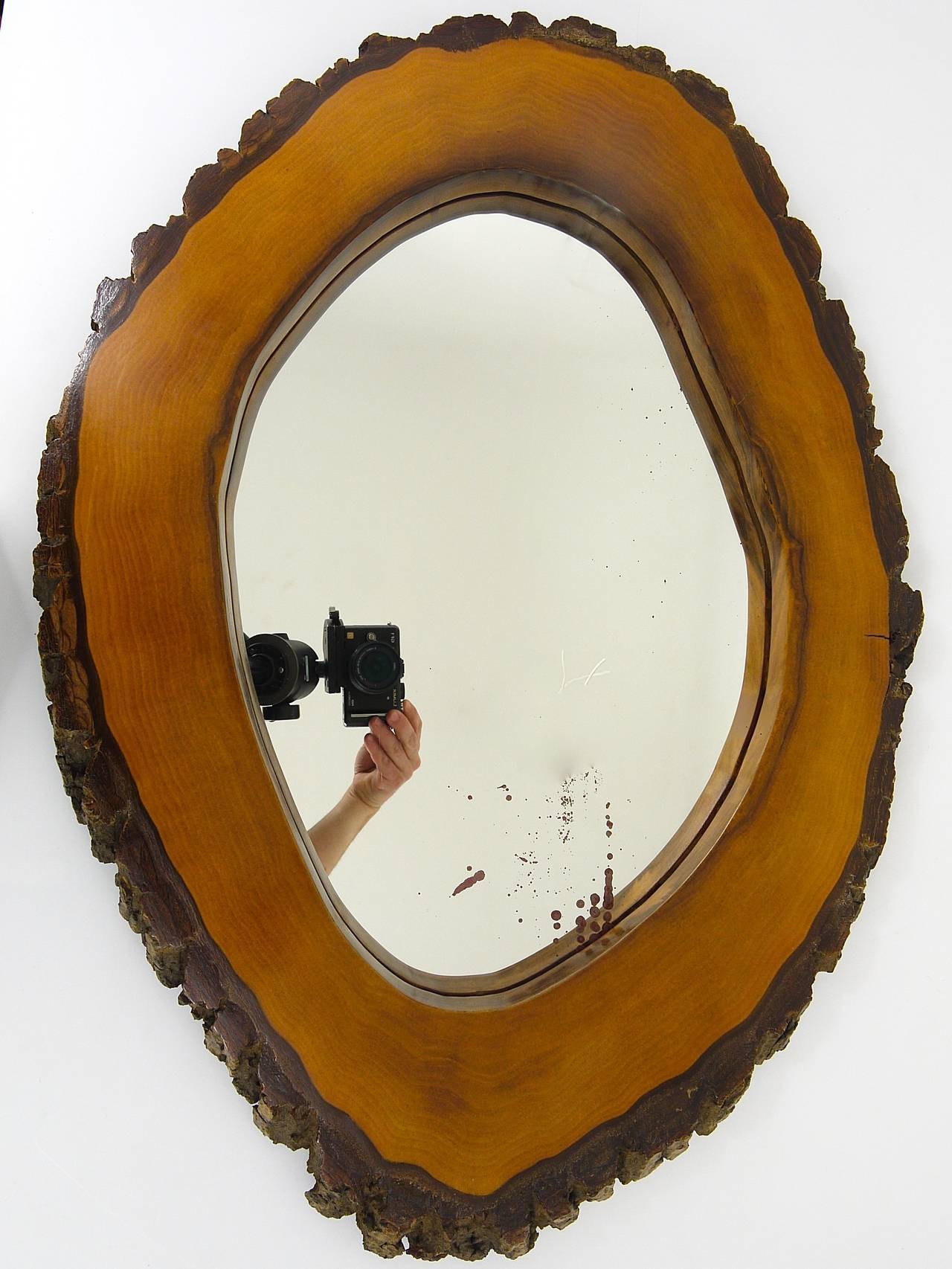 Wall mirror tree trunk in walnut, Carl Aubock modernist style, Austria, 1950s.