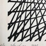 Kinetic lithography, structure, 1995, by c. du plessis