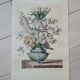 Floral engraving reproduction