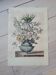 Gravure florale reproduction