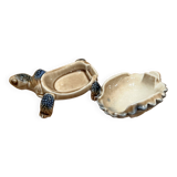 Tortoise