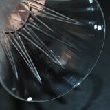 Set of 5 tarn champagne flutes in cut crystal from saint-louis h18.7cm