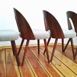 Dining Chairs by A. Suman for Tatra Nabytok, Former Czechoslovakia, 1960s, Set of 4