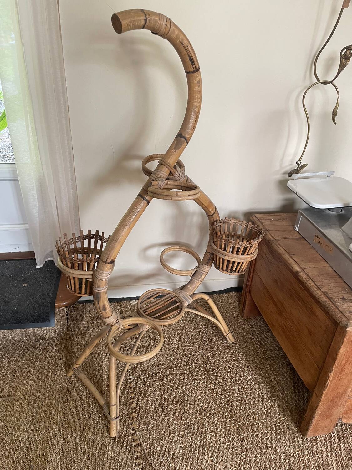Serpent plant holder
