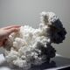 Collection minérale ancien spécimen d'aragonite blanche du Mexique +3,2kg