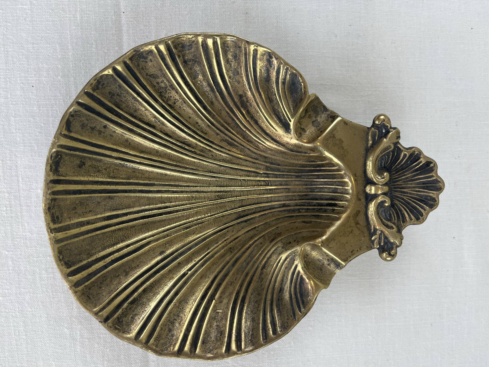 Shell-shaped catch-all tray