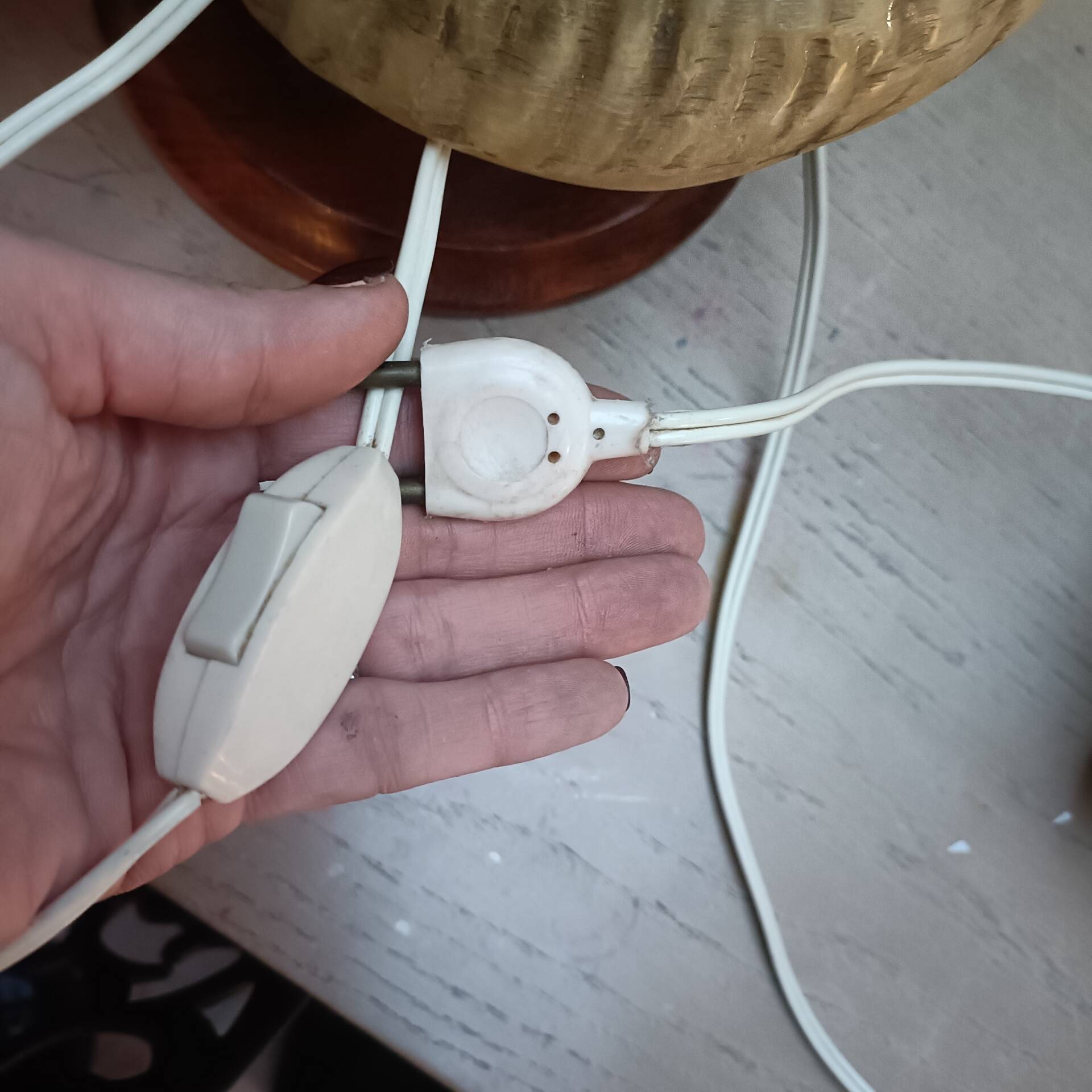 Vintage ram's horn living room lamp