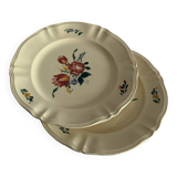 Plats fleuri  Sarreguemines