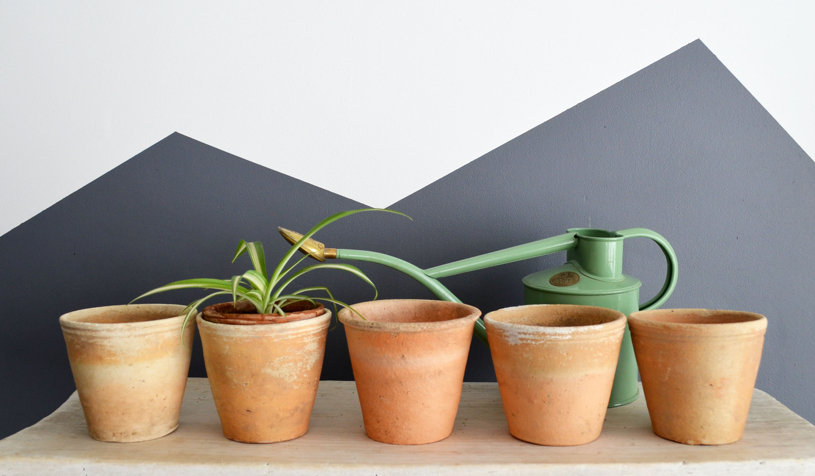 5 old terracotta pots