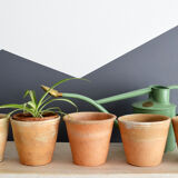 5 old terracotta pots