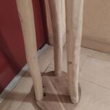 Parrot coat rack in solid wood creator *