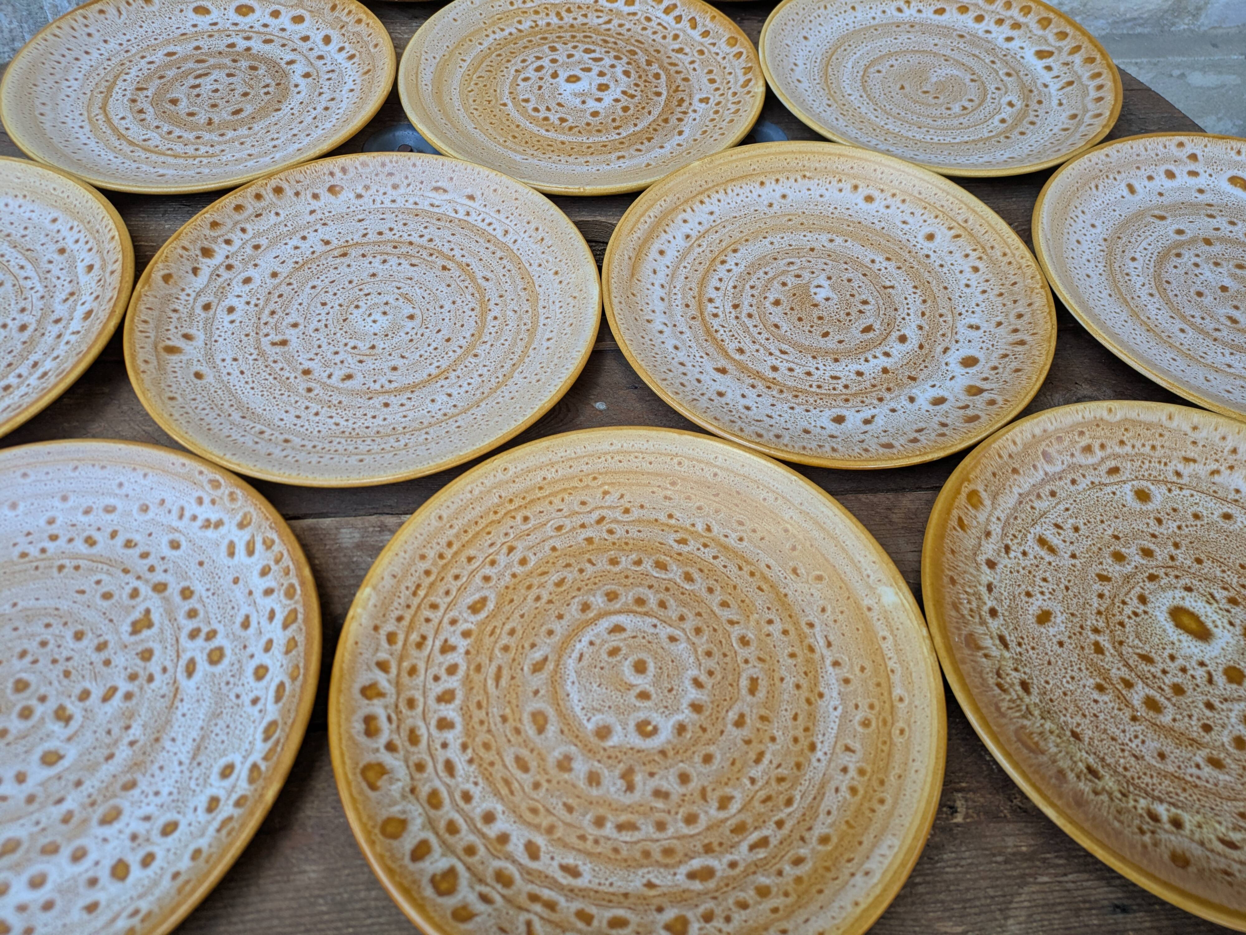 Set of 12 flat plates in stoneware Niderviller model Fauve from the 1960s.