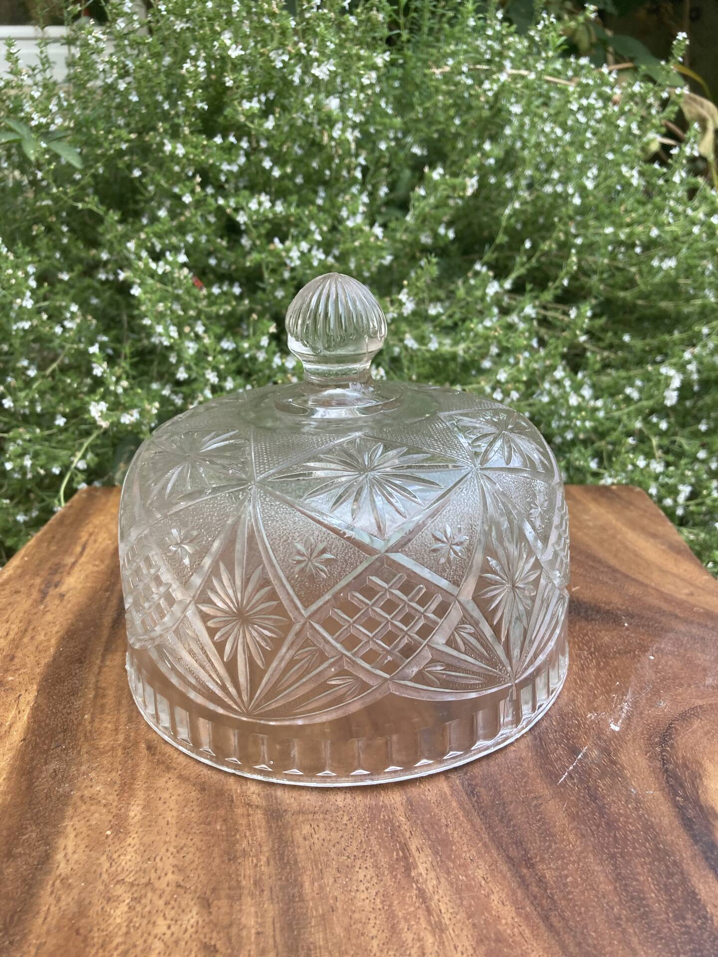 Pressed and moulded glass cheese dome