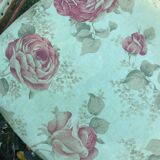 Paire de chaise ancienne style Napoléon